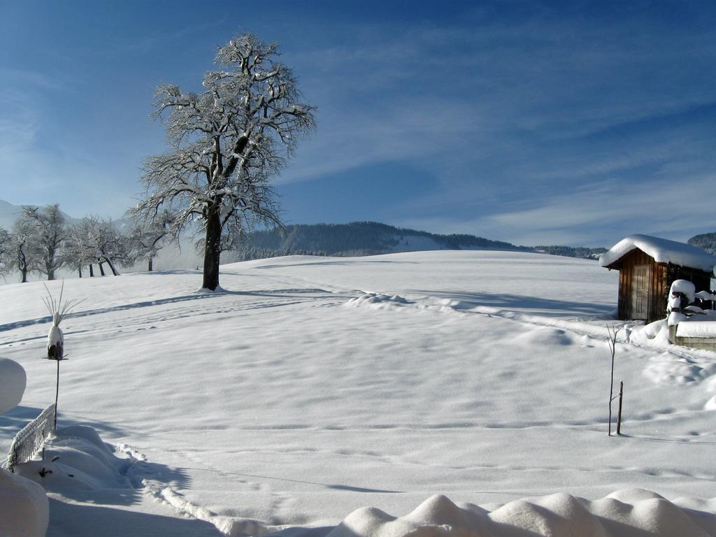 Schweizer Hof Villa Schwarzenberg im Bregenzerwald Exteriör bild