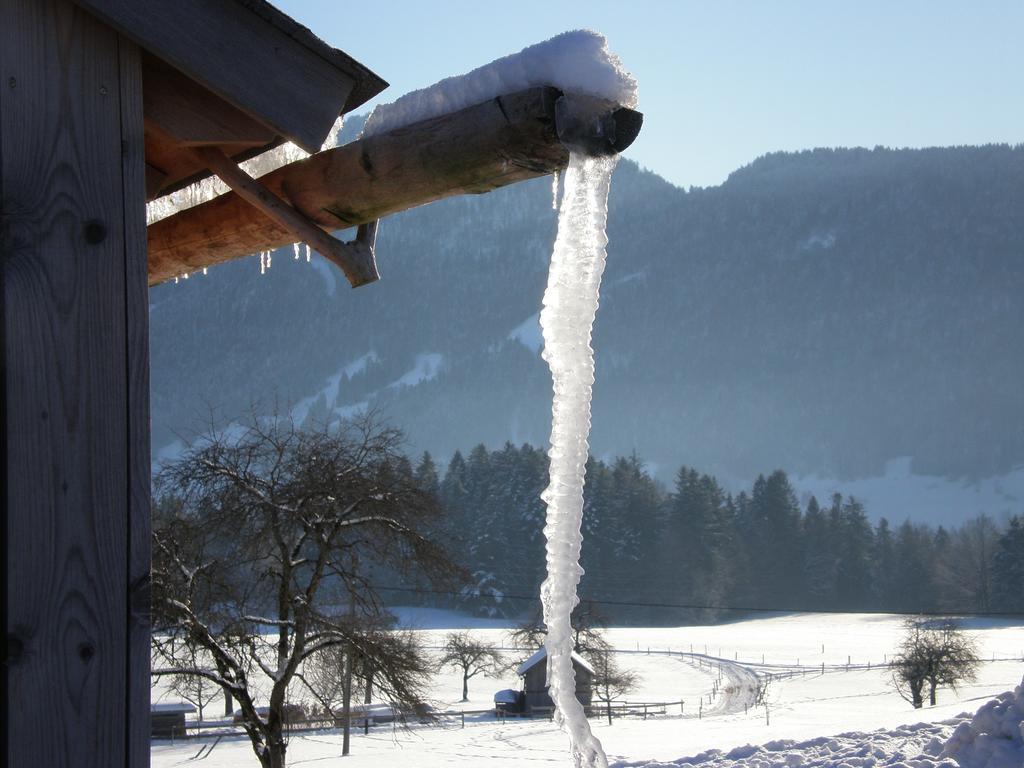 Schweizer Hof Villa Schwarzenberg im Bregenzerwald Exteriör bild