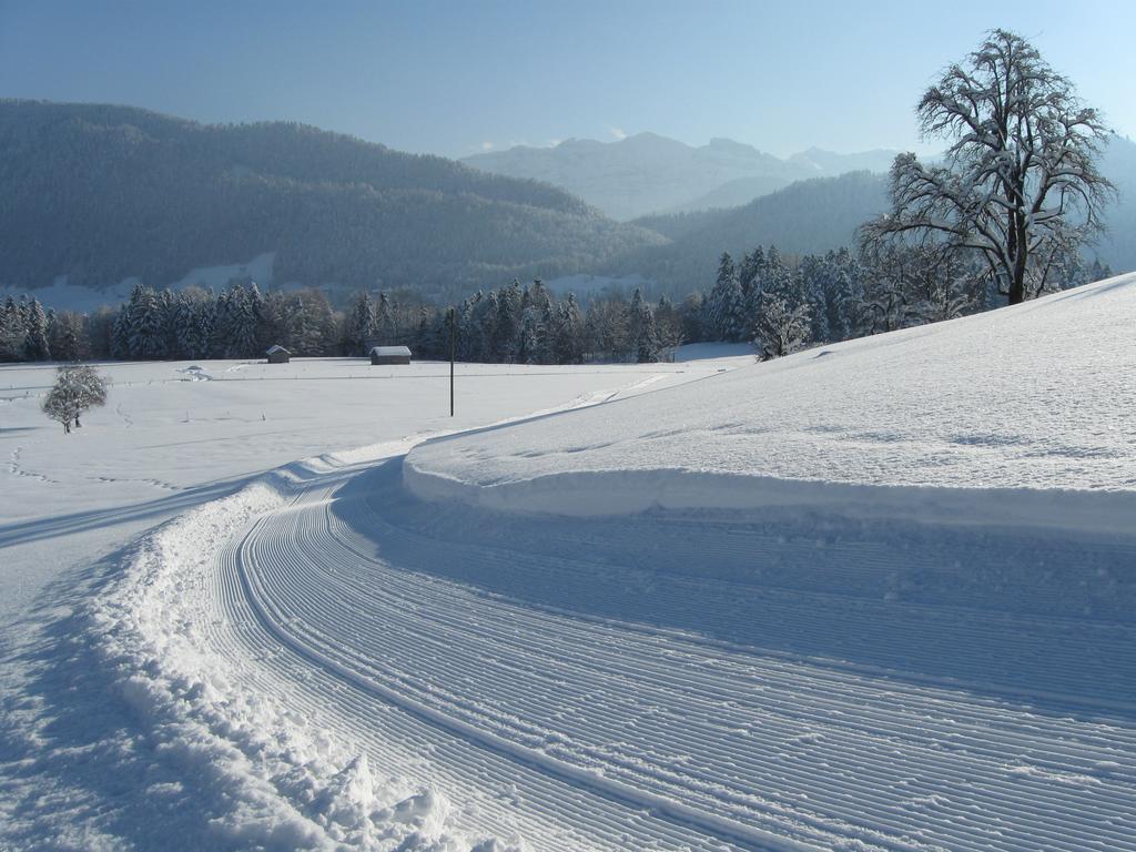 Schweizer Hof Villa Schwarzenberg im Bregenzerwald Exteriör bild